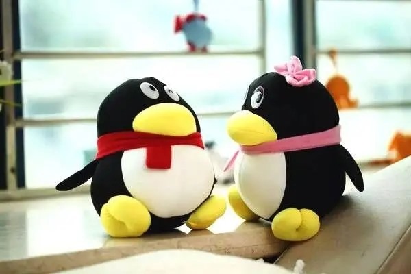 哪里可以买到qq小号？